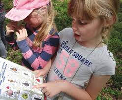 Wiltshire Wildlife Trust Brochure COVER