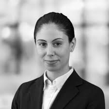 Stateside Associates Team