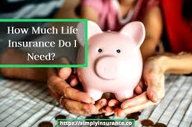 Total amount of life insurance coverage you currently have for yourself. My Customers Often Ask Me How Much Life Insurance Do I Need This Question Is Going To Depend On Several Factors Suc Money Habits Budgeting Kids Earning Money
