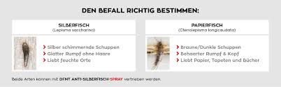 Wie sie es den unerwünschten untermietern ungemütlich machen und. Silberfische Bekampfen Perfekte Anleitung