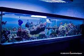 That is why many enthusiasts usually wait for the dollar per tank gallon sale when prices are greatly reduced instead of spending the usual $1,000 for just the tank. What Type Of Fish Could I Keep In A 897 Gallon Tank Quora