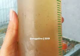 Infused water atau disebut air infus dalam bahasa indonesia memang menjadi tren di tanah air. Langkah Membuat Infused Water Jsr Rempah Cengkeh Enak Resep Us