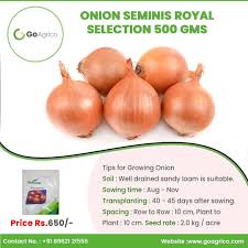 Check spelling or type a new query. Goagrico Onion Seminis Royal Selection 500 Gms Tips For Growing Onion Soil Well Drained Sandy Loam Is Suitable Sowing Time Aug Nov Transplanting 40 45 Days