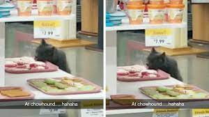 Cheeky Cat Licks Biscuits On Display - YouTube