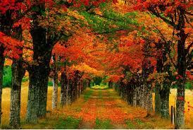 ç»äºç¥éï¼ä¸ºä»ä¹å æ¿å¤§å«æ«å¶ä¹å½äº- å£¹è¯»