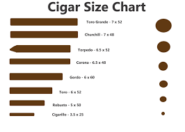 cigar sizes beginner cigars cigar sizes with cigar size