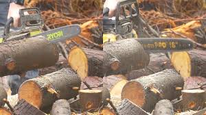 Ryobi 40v vs Poulan Pro Gas Chainsaw part 2: A smaller Log