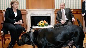 His spokesperson notes that even on his birthday, the president normally spends most of the day at work. Putin I Didn T Mean To Scare Angela Merkel With Dog Cnn