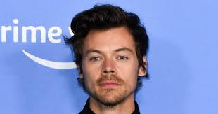 Harry Styles' stalker sentenced to 14 weeks imprisonment; receives 10-year  restraining order : r/Fauxmoi