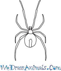 For kids & adults you can print spiderman or color online. How To Draw A Redback Spider