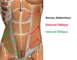 what is my core abdominal bracing vs
