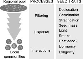 Люди з іменем barbara rouf. Journal Of Vegetation Science Wiley Online Library
