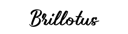 How can you install modern latin math font in os x? Brillotus Font Ffonts Net