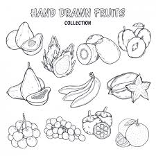 Disegni Di Frutta Da Stampare E Colorare Frutta Colorare