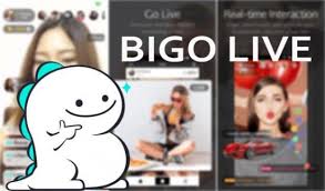 100% trabajando en 0 dispositivos, votado por 0, desarrollado por medev. Bigo Live Live Broadcasting 3 3 0 Apk Download Android