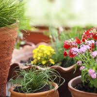 Ella Allard Obituary October 31, 2013