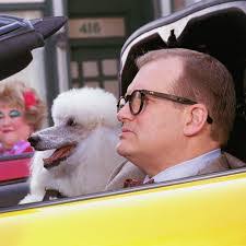 Patrick Bendig's Instagram, Twitter & Facebook