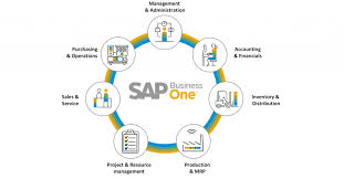 SAP Business One ERP implementation services