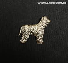 Image result for irský vodní španěl