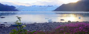 For over 25 years, alaska mountain guides has been the premiere sea kayaking outfitter and guide from sea kayaking in the spectacular scenery of the inside passage to the incredible wildlife and. Alaska Sea Kayaking With Alaska Sea Kayakers