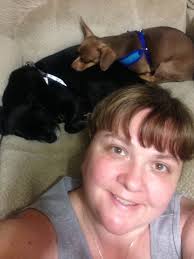 My lickle chiller yogi loves snuggled into hes blankly or taken himself up  to my bed or chilling with the customer at my daughters works