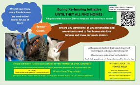 / eligible members are determined based on a household's gross yearly income (see the income guidelines chart) or participation in qualifying public assistance programs. Simcoe And District Humane Society