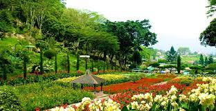 Kebun bunga instagramable yang terakhir merupakan sebuah area penelitian botani. Kode Alam Kebun Bunga Kebun Bunga Adalah Salah Satu Kelurahan Di Kecamatan Banjarmasin Timur Kota Banjarmasin Provinsi Kalimantan Selatan Indonesia Owen Threads