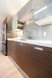 Top of the line wood cabinetry. Modern Kitchen Cabinetry Frameless Overlays Horizontal Lines And Natural Beauty