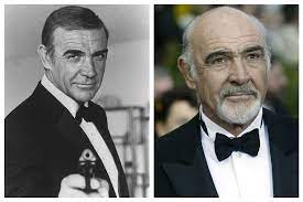 La demencia tuve efectos negativos sobre él": esposa de Sean Connery |  Revista Cromos