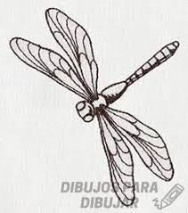 Este libro para colorear no necesita papel. Dibujos De Libelulas 190 Para Dibujar