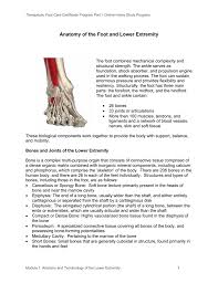 Explore the anatomy systems of the human body! Anatomy Of The Foot And Lower Extremity
