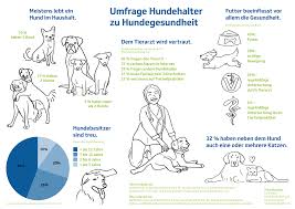 Blut Im Stuhl Beim Hund Dann Wird S Gefahrlich Hundkatz De