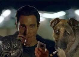 Me and my best friend at 7:59 p.m. (U.S. time) watching to see if I hold  top 3 spot in the lives😜🤣🤣 have a great day everyone, and remember to  smile and laugh!