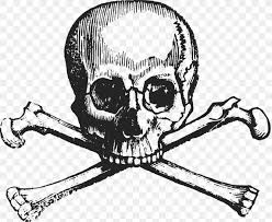 Skull And Crossbones Skull And Bones Drawing Png 881x720px Skull And Crossbones Artwork Black And White
