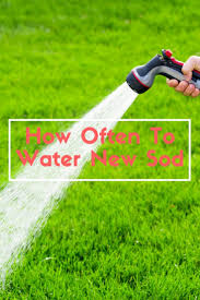 Well, southland sod farms offers a wide variety of sod for sale. How Often To Water New Sod A Green Hand