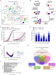 However, the elements necessary to prove this crime and the severity of it vary by jurisdiction. Genome Wide Crispr And Small Molecule Screens Uncover Targetable Dependencies In Atrt Biorxiv