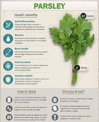 Parsley health is ranked #100 on the best health care companies to work for in new york list. Health Benefits Of Parsley Ira S Nature Basket Facebook