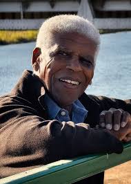 Buffalo stampede trail running event