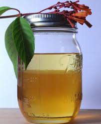 как приготовить настойку из цветков пиона в домашних условиях Neobyknovennye Recepty Iz Pionov