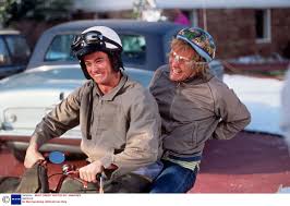 Neue dvds jetzt schon vorbestellen. 13 Funniest Dumb And Dumber Moments