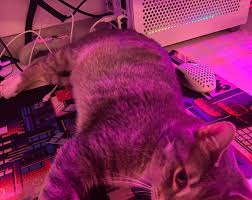 Amsterdam core: A'DAM Rooftop // golden hour