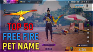 These pets can bestow abilities that could help players in battle. Top 50 Best Pet Name For Free Fire Free Fire Top 50 Pet Name Falcon Pet Name Bkp Gamer Youtube