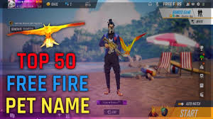 Free fire falcon pet skill switch problem | how to solve falco pet skill switch problem in free fire. Top 50 Best Pet Name For Free Fire Free Fire Top 50 Pet Name Falcon Pet Name Bkp Gamer Youtube