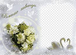 High quality images png wedding element, psd files, online download from our site. Pink Rose Flower And Two White Swans Wedding Graphy Personalized Wedding Album Frame Background Frame Flower Arranging Png Pngegg