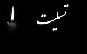 پیام تسلیت رئیس شورای هماهنگی تبلیغات اسلامی در پی درگذشت سردار علیرضا افشار