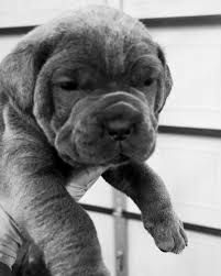 One female left!!!! Get at me!!!