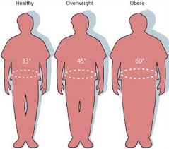 Are You Overweight Obese Or Normal Weight For Your Height