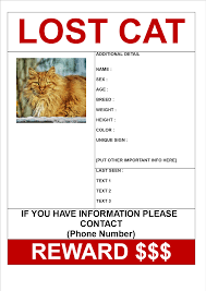 It is a crucial poster contains the identification tools of your pet include 16+ missing cat poster templates | free word, excel & pdf formats, samples, examples, designs. Find Missing Cat Poster With Reward Template Templates At Allbusinesstemplates Com