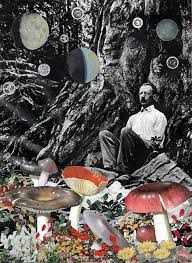 Mushrooms Surreal Collage Collage Artists Collage Art