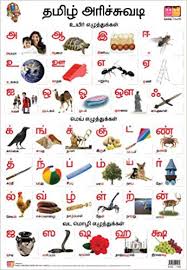 Buy Tamil Alphabet Front Back Educational Wall Charts